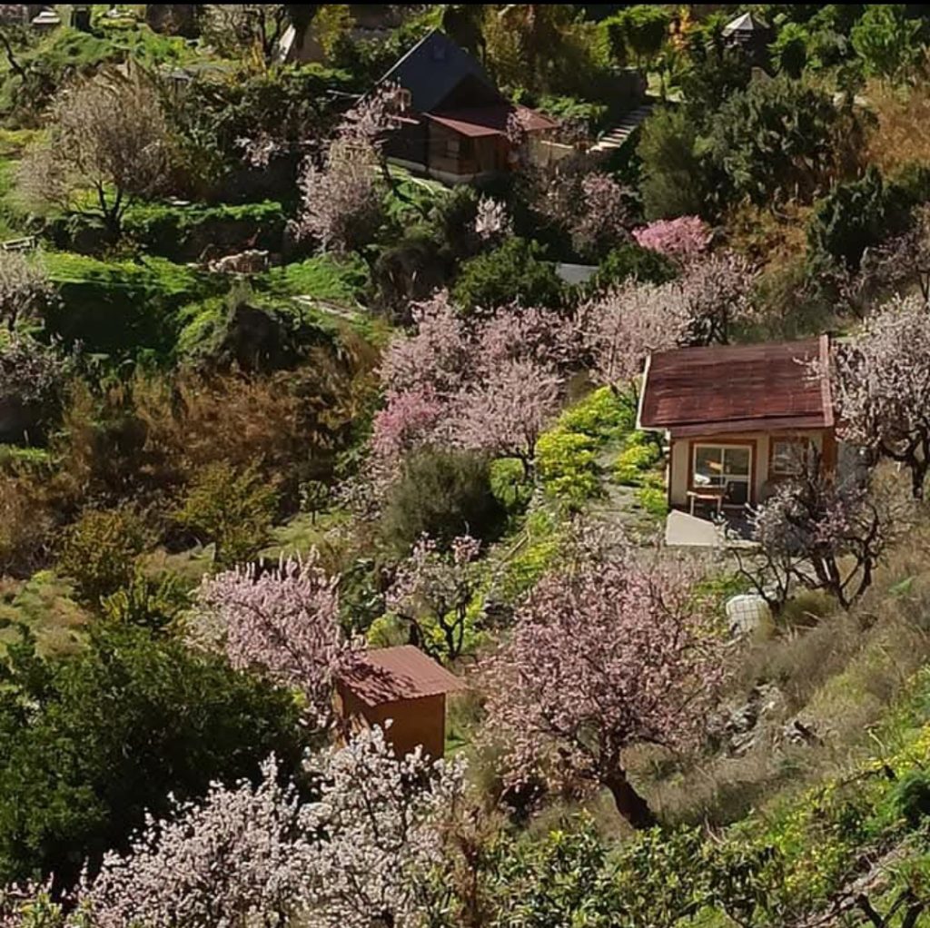 Maison écologique ecoAltitude dans une vallée andalouse